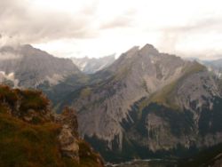2013-09-08_6Falkenh-Steinfalk (148).JPG